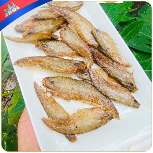 kaun ta aon | កូនតាអោន (កាត់ល្បាល)