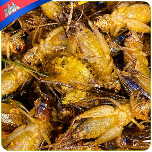 Cricket | ចង្រឹតបំពងស