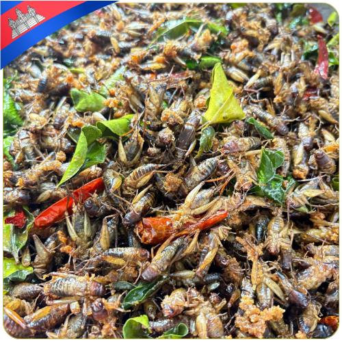 Fried Crickets